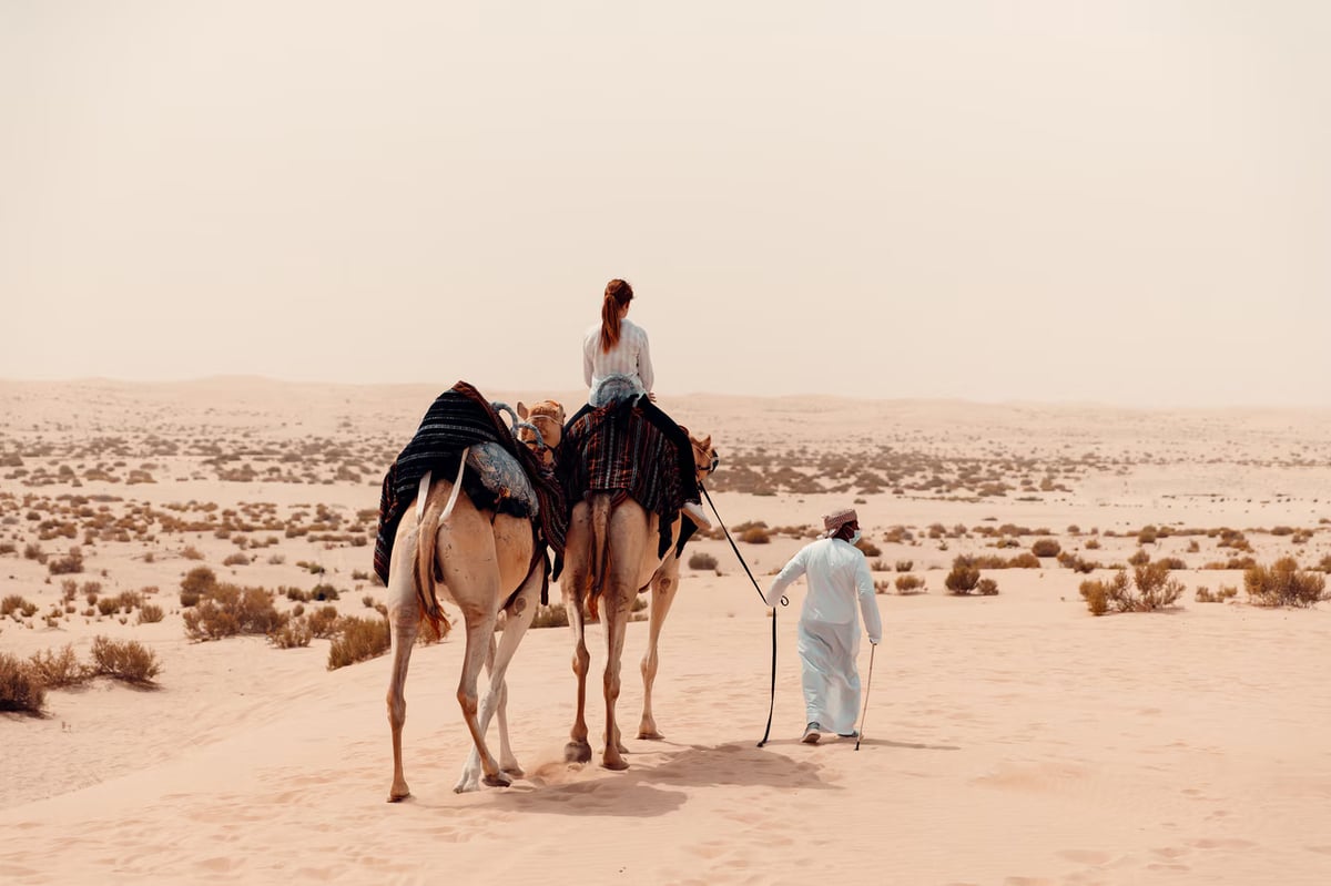 A guide leading two camels with a rider across pale desert sand