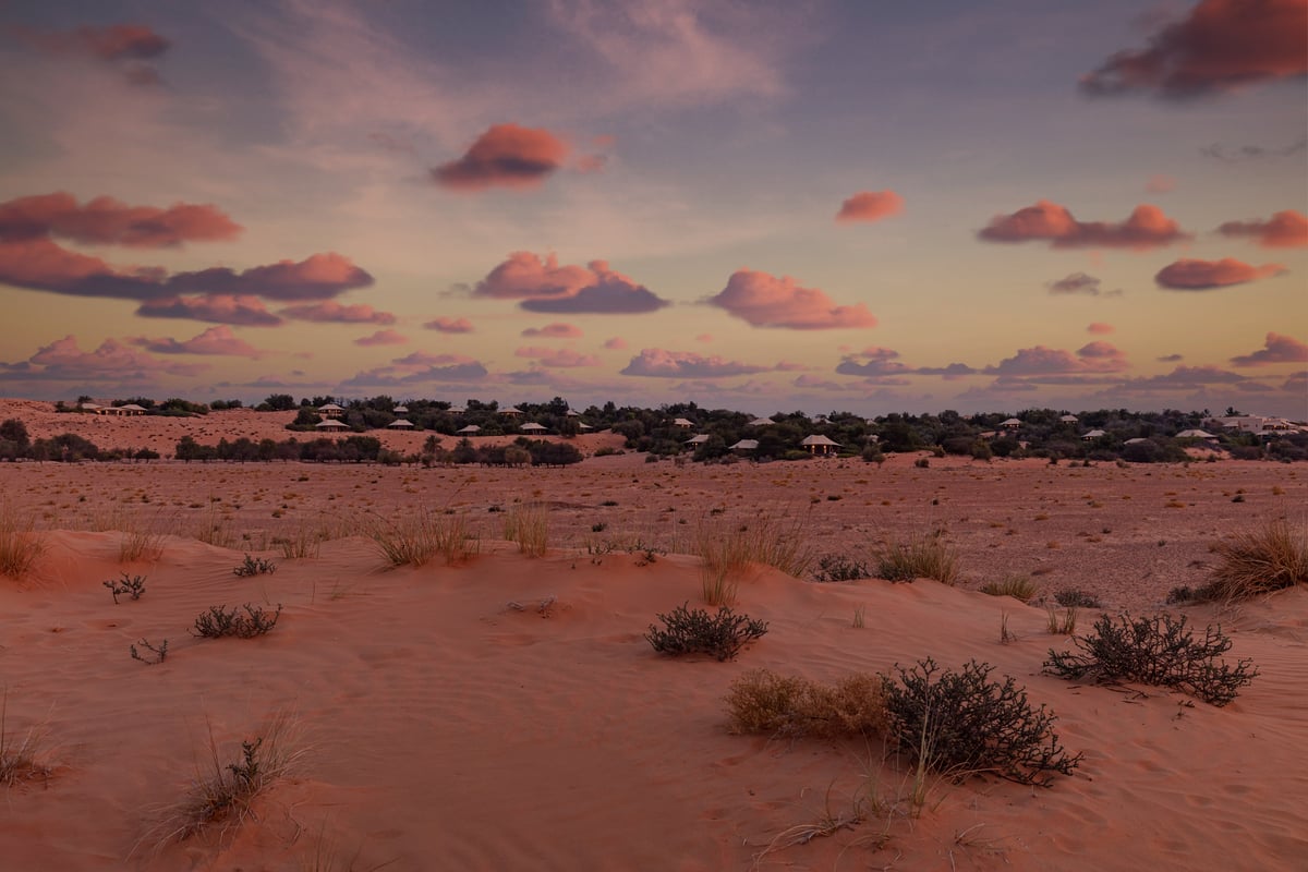 Open red desert of the Dubai Desert Conservation Reserve at dusk, with the Al Maha resort tree line on the horizon.